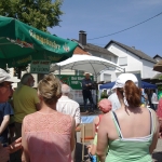 Stephanshausen DEMO Windwahn-20140719DSC08231.jpg